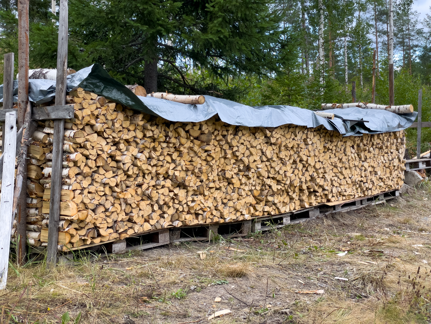 Koivuklapi 33cm